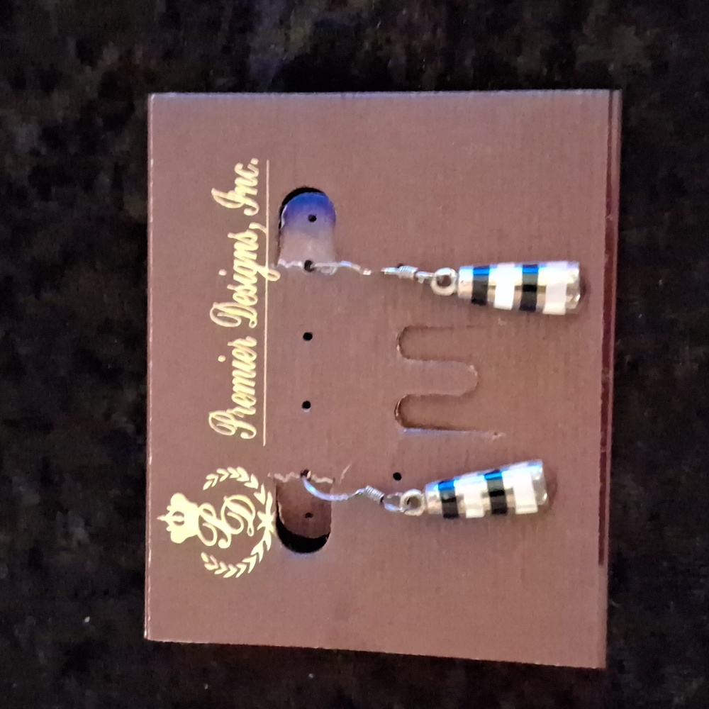 Premier Designs (Konrad) Striped Black and Silver Earrings